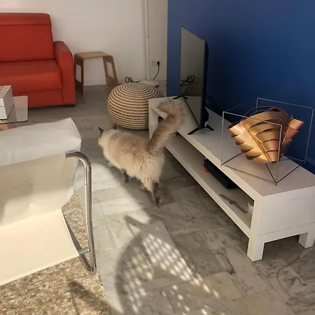 Apartamento La Plage D'Ugo Mauguio